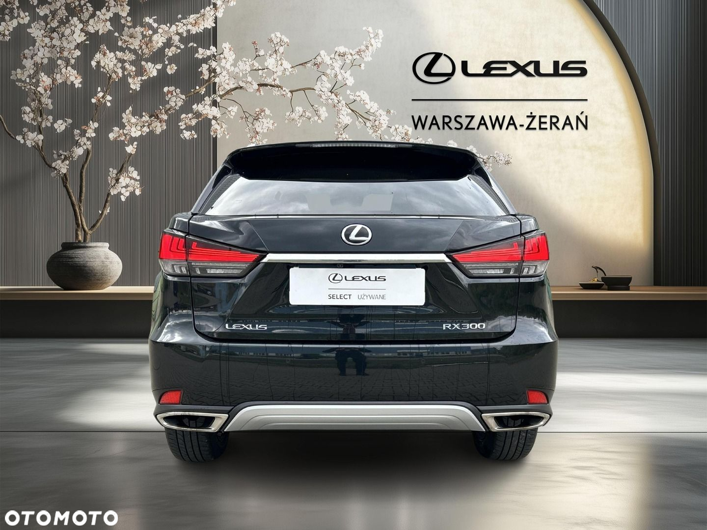 Lexus RX 300 F-Impression - 6