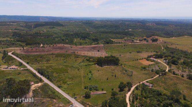 Monte com 6 Hectares e Projeto de Ampliação em São Teotónio - Grande imagem: 3/4