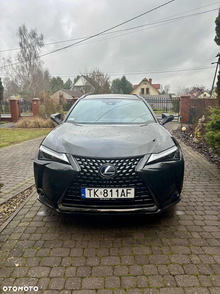 Lexus UX 250h GPF F Impression 2WD - 6