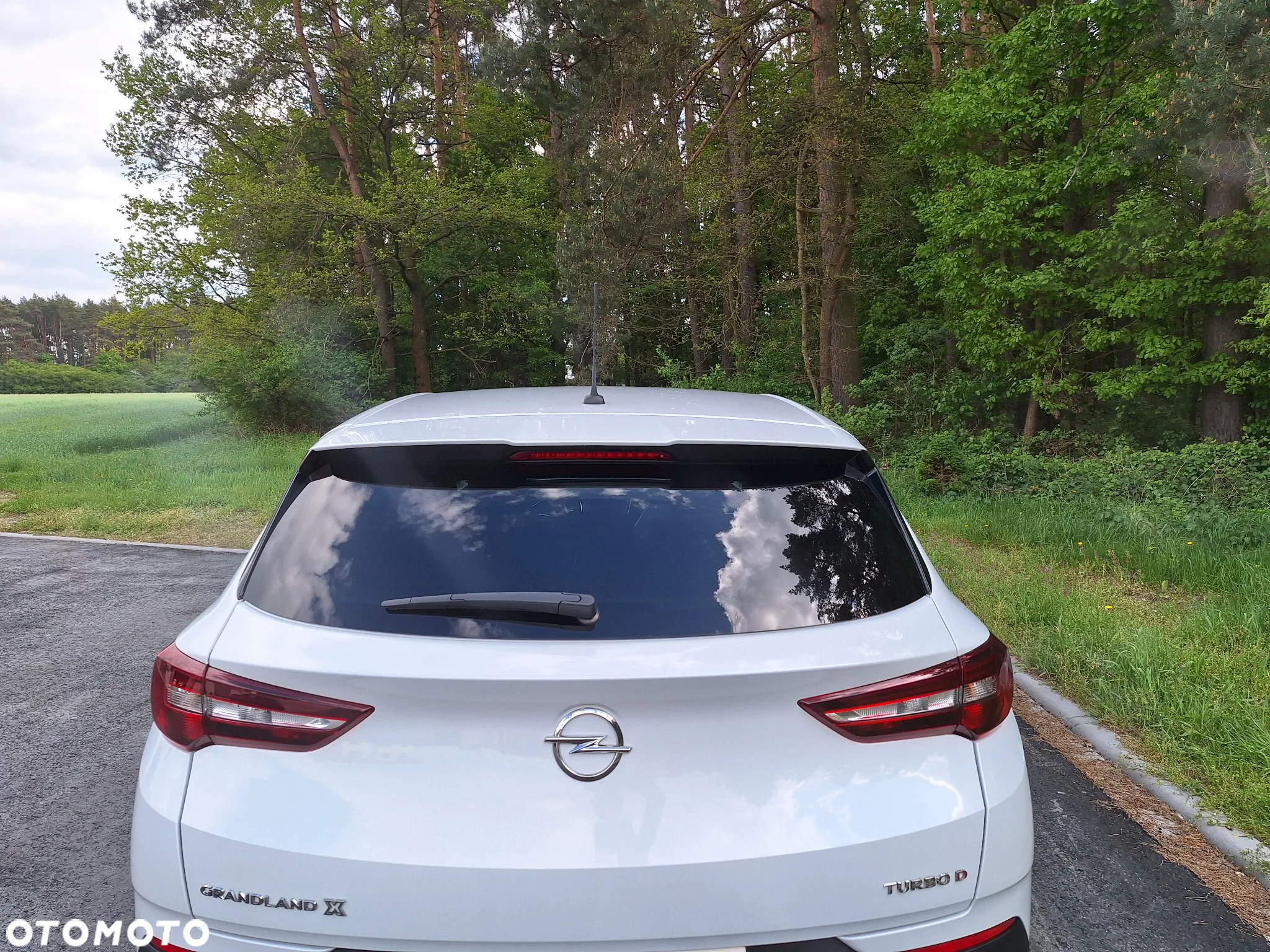 Opel Grandland X 2.0 CDTI Elite S&S - 3