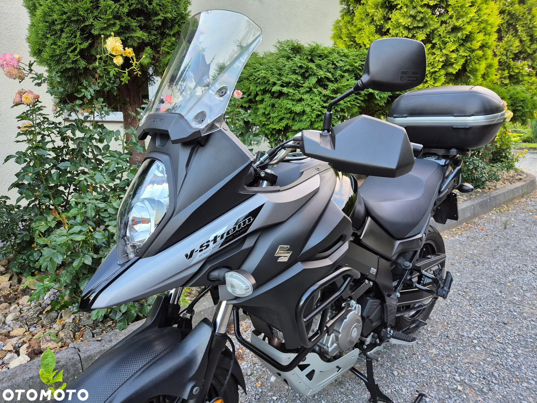 Suzuki DL - 4