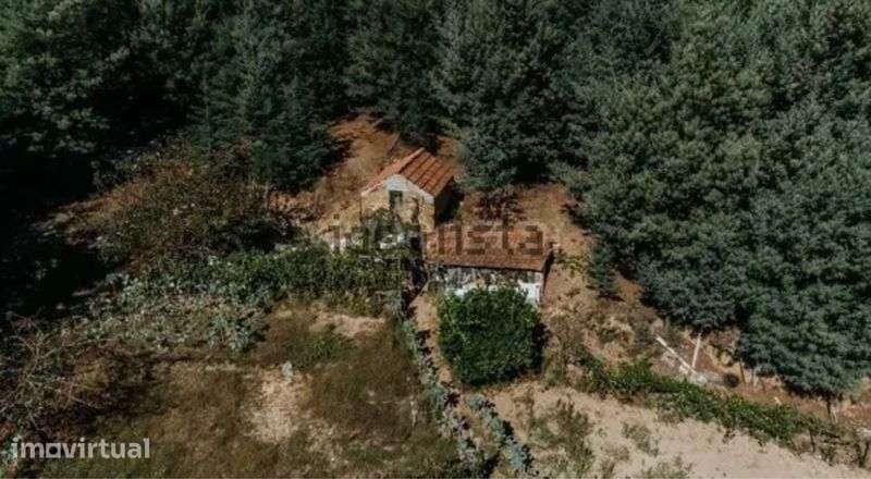 Terreno com cerca de 30000 m2 na Povoa das Quartas (O. do Hospital) - Grande imagem: 5/7