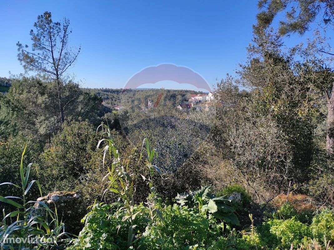 Terreno  para venda - Grande imagem: 2/10