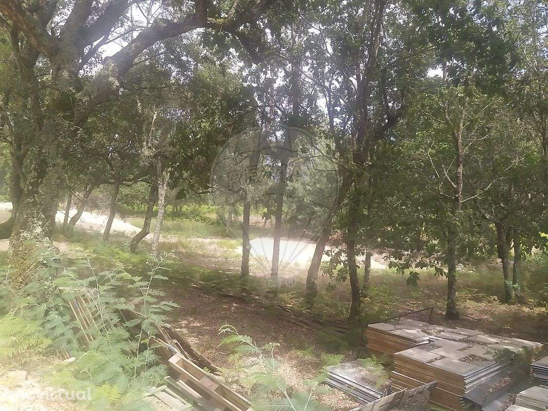 Terreno  para venda - Grande imagem: 3/8