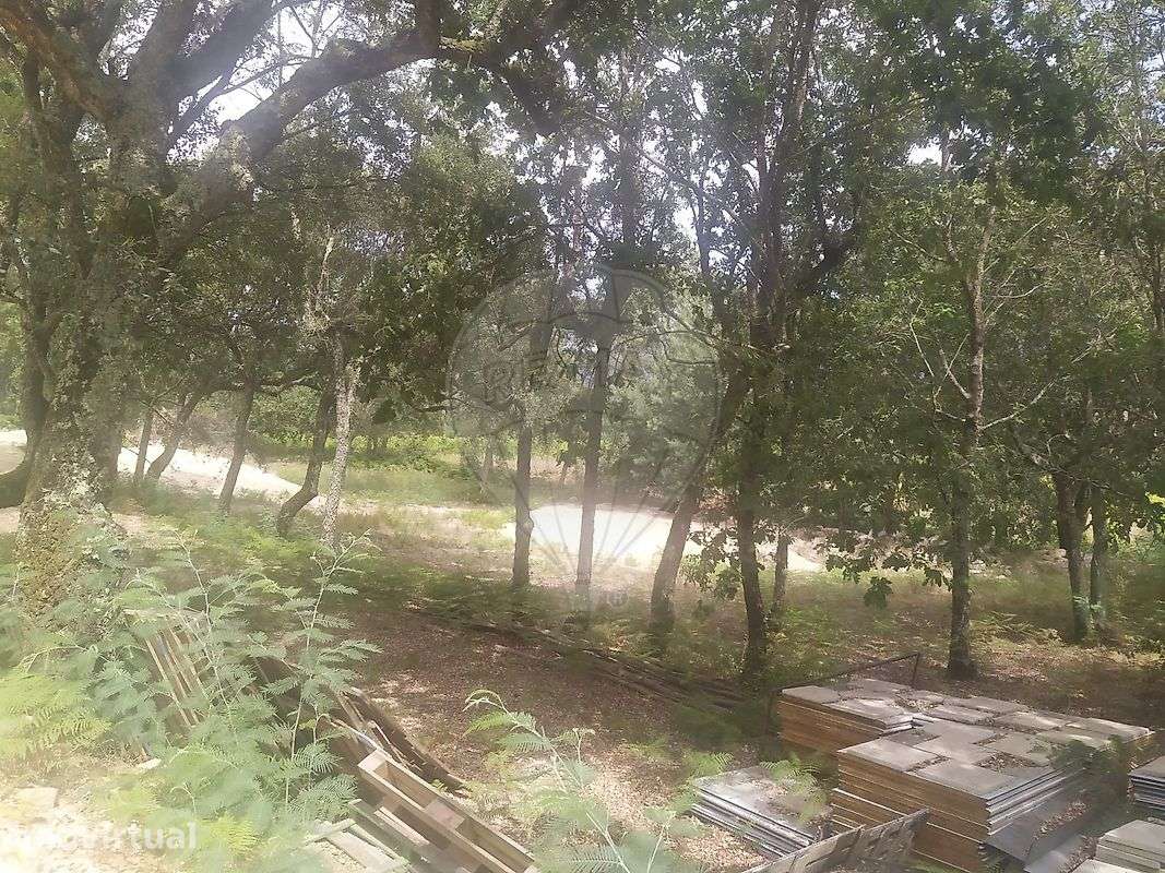 Terreno  para venda - Grande imagem: 3/8