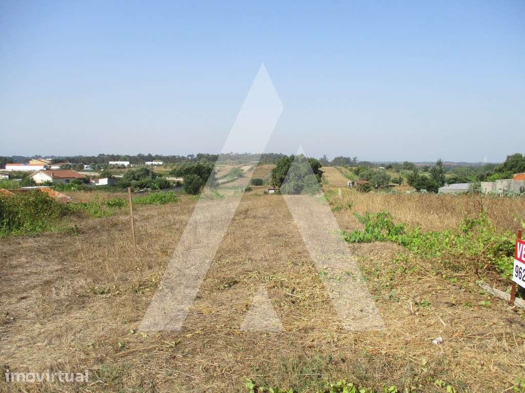 Terreno em Fermentelos - Grande imagem: 3/6