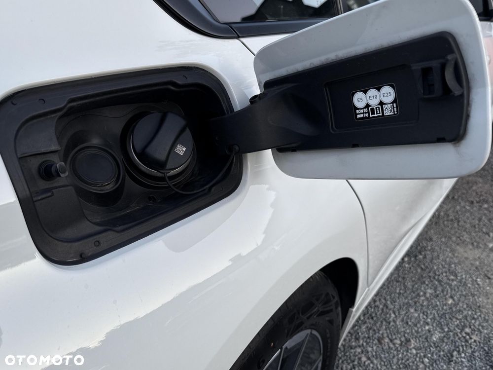 BMW Seria 3 318i Advantage - 22
