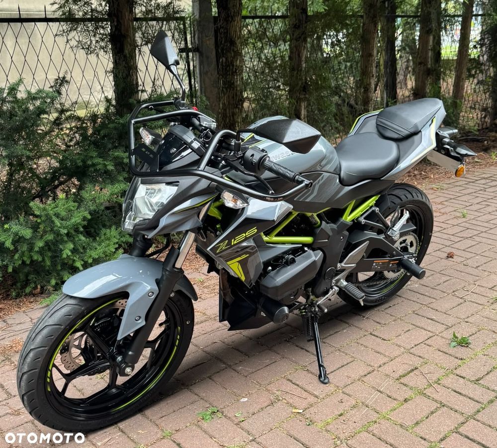 Kawasaki Z - 10