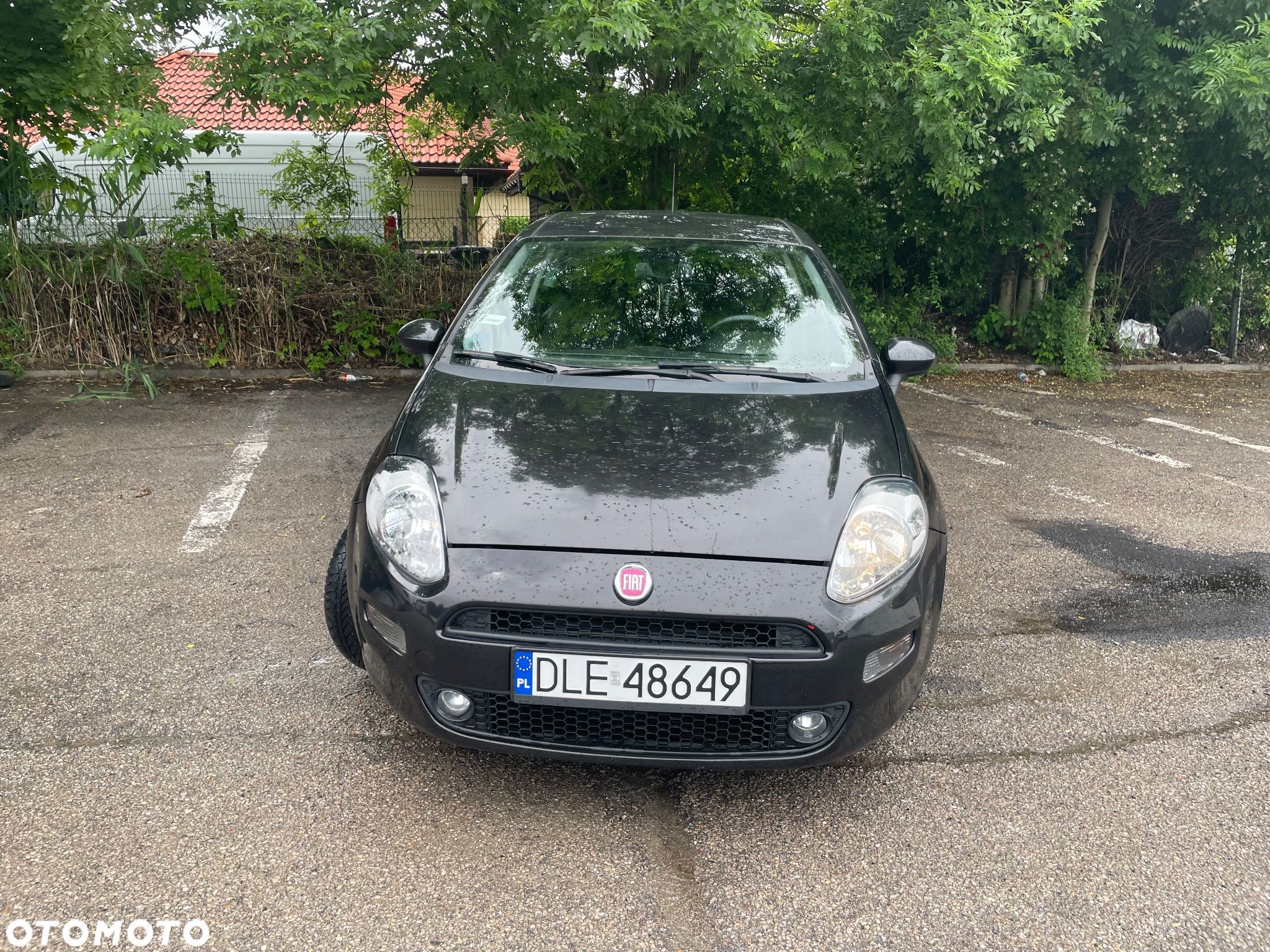 Fiat Punto - 1