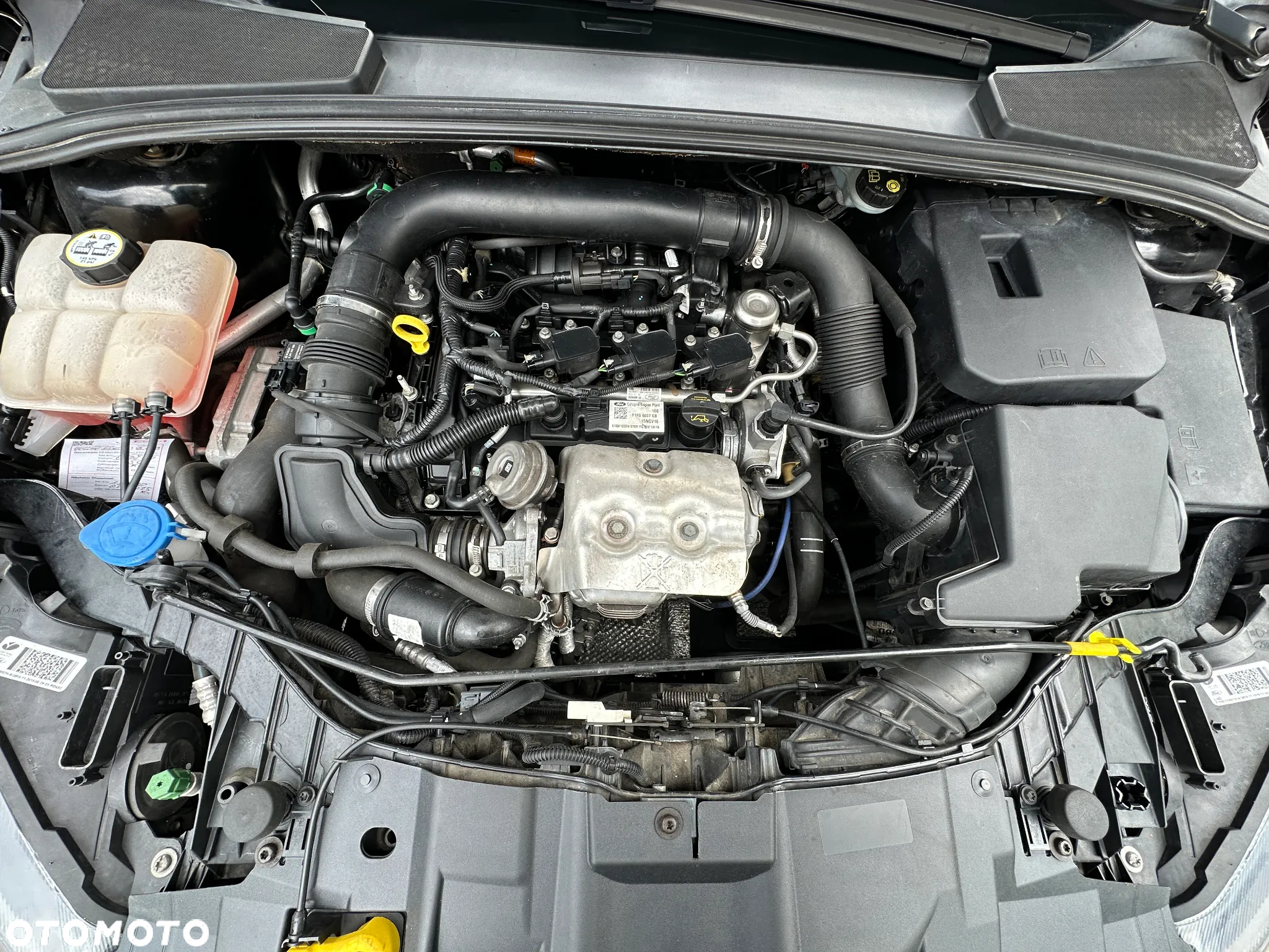 Ford Focus 1.0 EcoBoost Titanium - 37