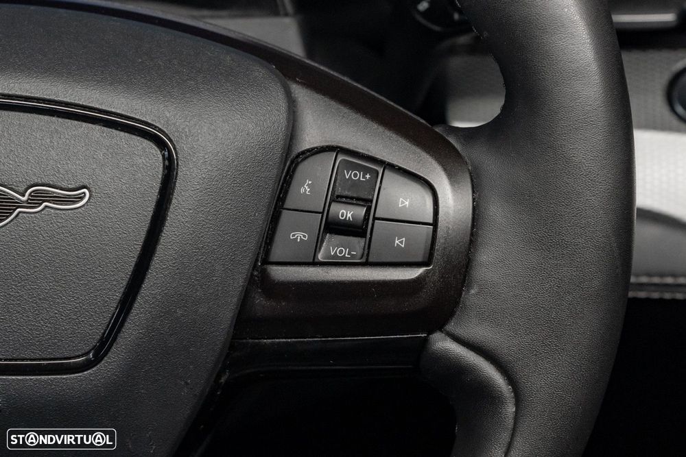 Ford Mustang Mach-E 75.7 kWh Premium AWD - 17