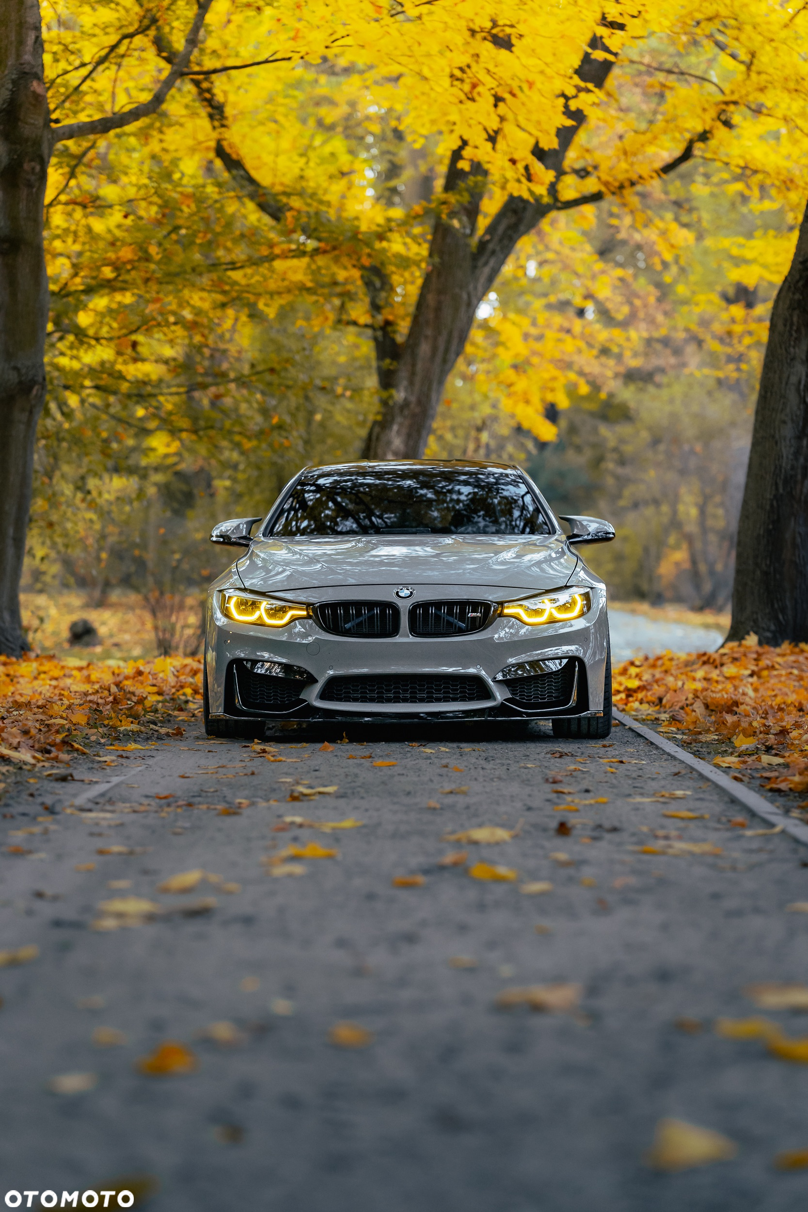 BMW M4 Competition GPF DKG - 11