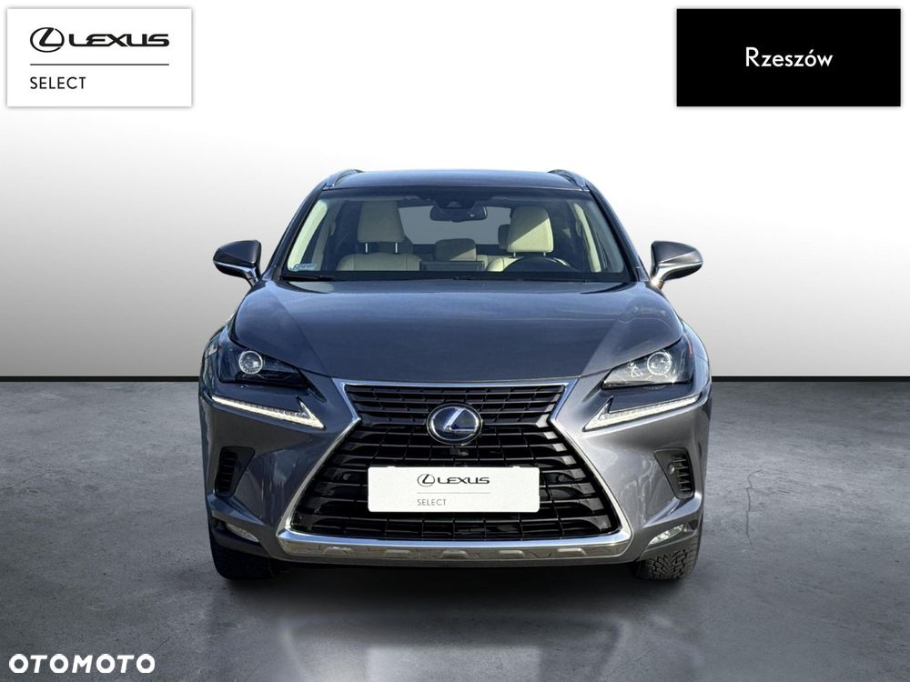 Lexus NX - 8