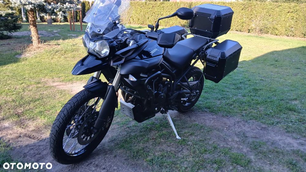 Triumph Tiger - 13