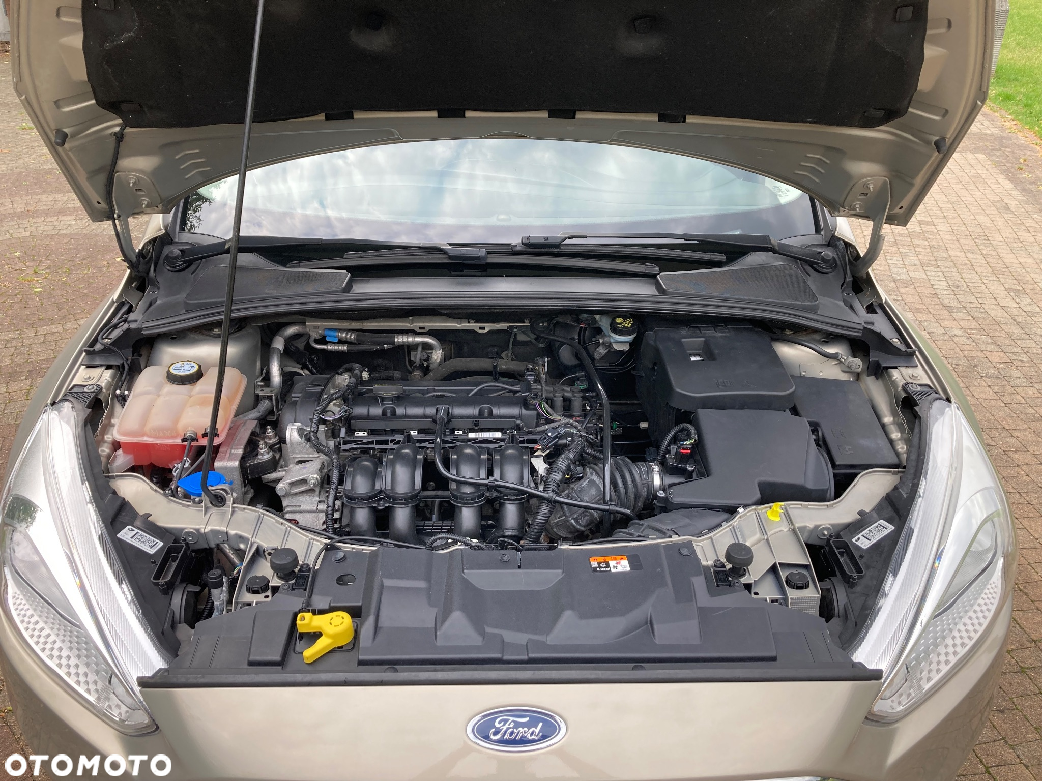 Ford Focus 1.6 Edition - 12
