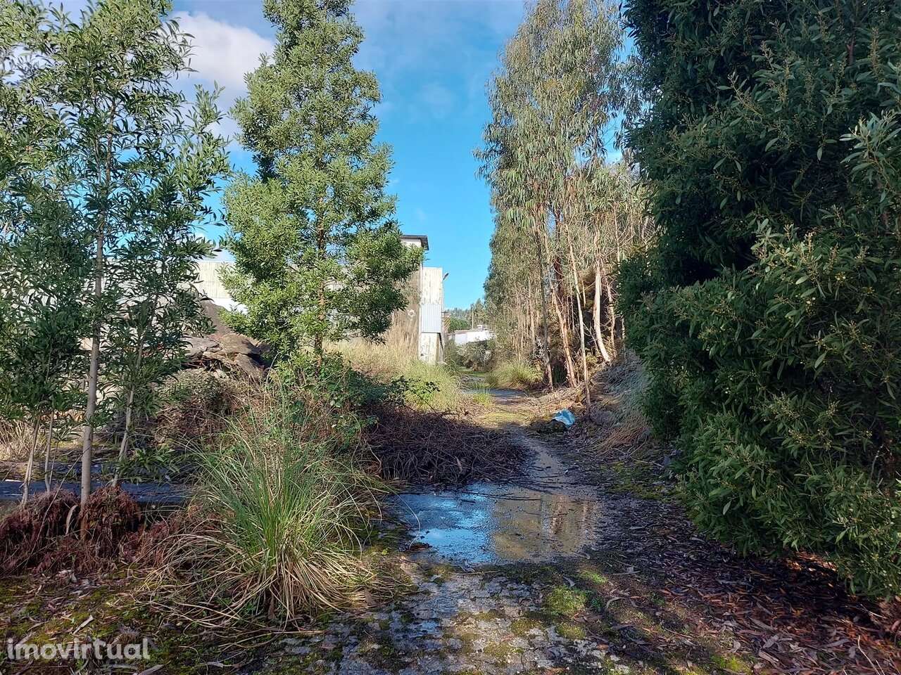 Terreno na Zona Industrial das Mimosas - Grande imagem: 3/16