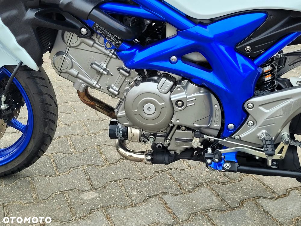 Suzuki Gladius - 17