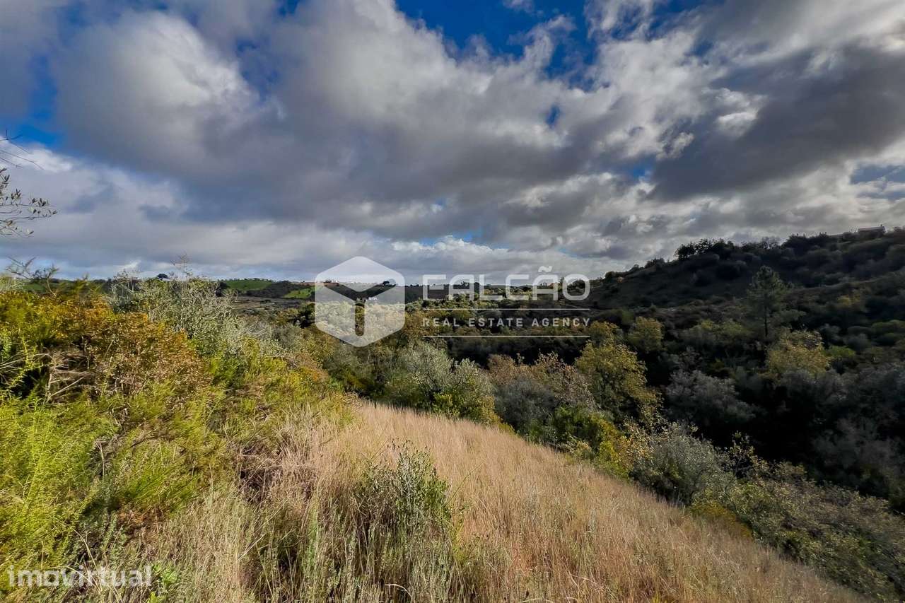 Terreno Misto  Venda em Azoia de Cima e Tremês,Santarém - Grande imagem: 4/28