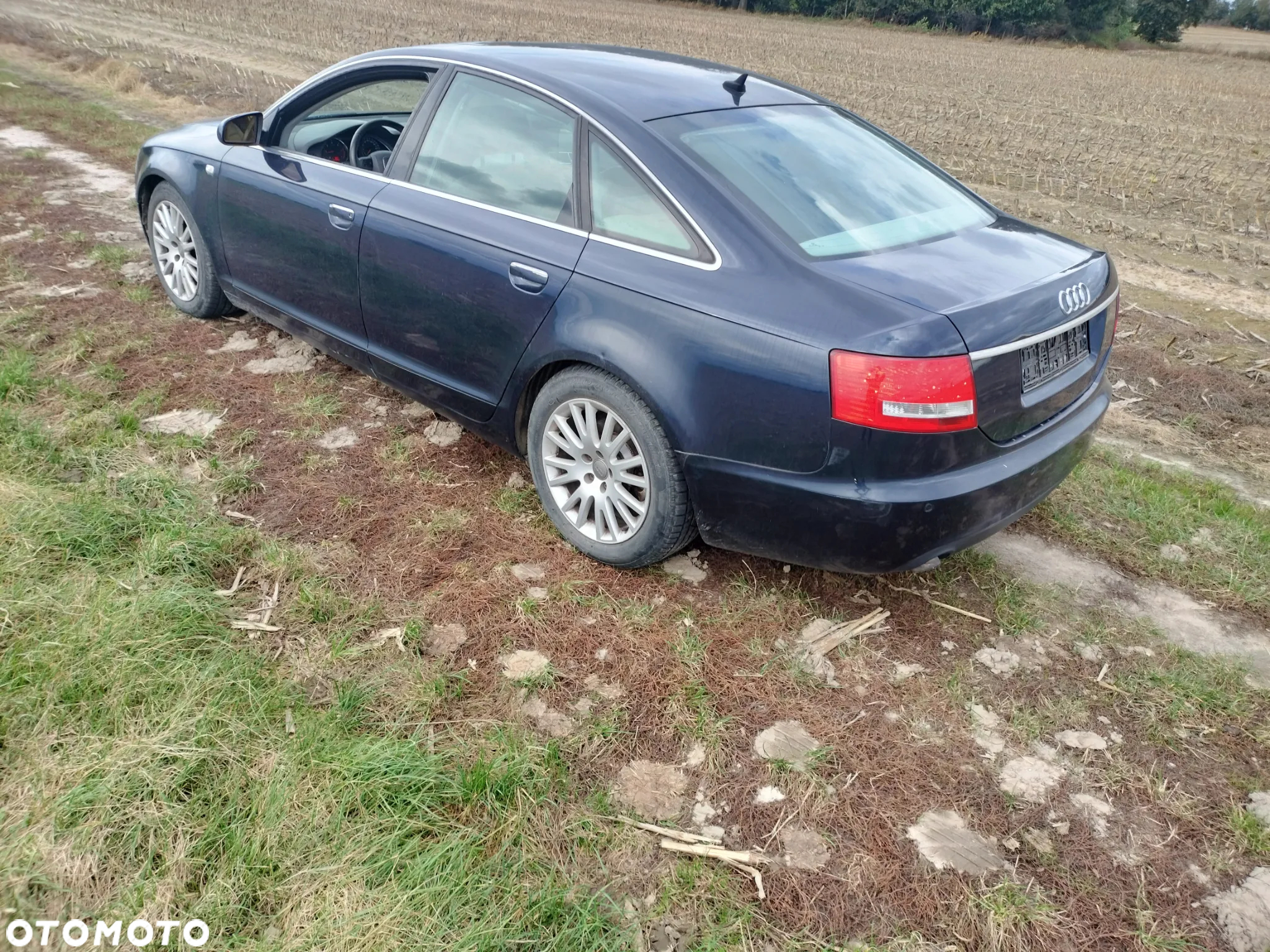 audi A6 C6  kod silnika BMK kod farby LZ5D - 4