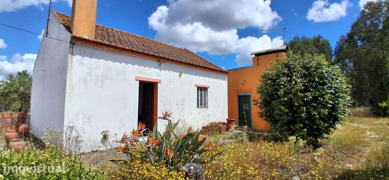 Casa de Campo - Moradia T2 com quintal -Coruche / Lamarosa / Santarém - Grande imagem: 2/22