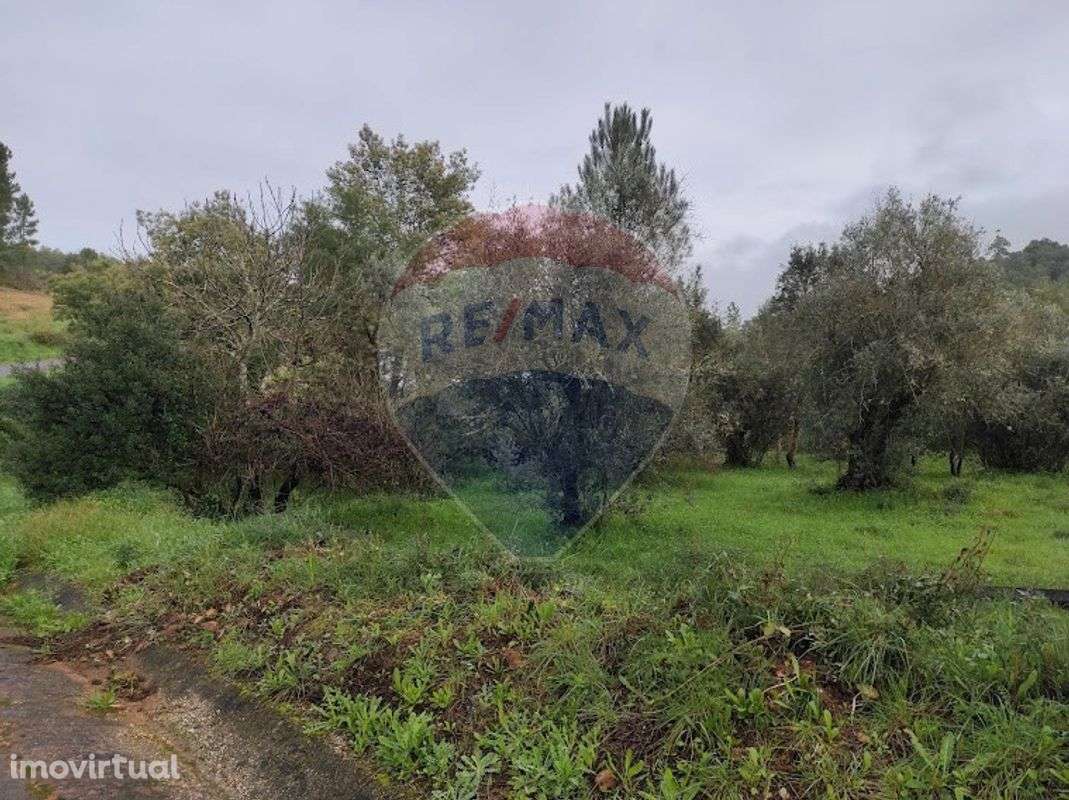 Terreno  para venda - Grande imagem: 2/3