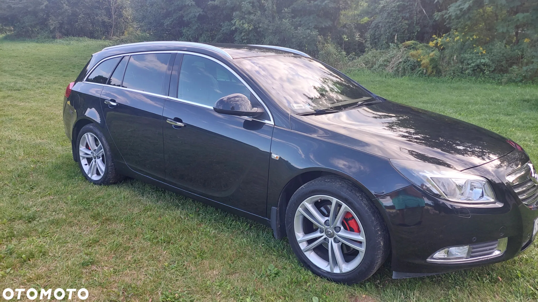 Opel Insignia 2.0 CDTI Cosmo 4x4 - 8