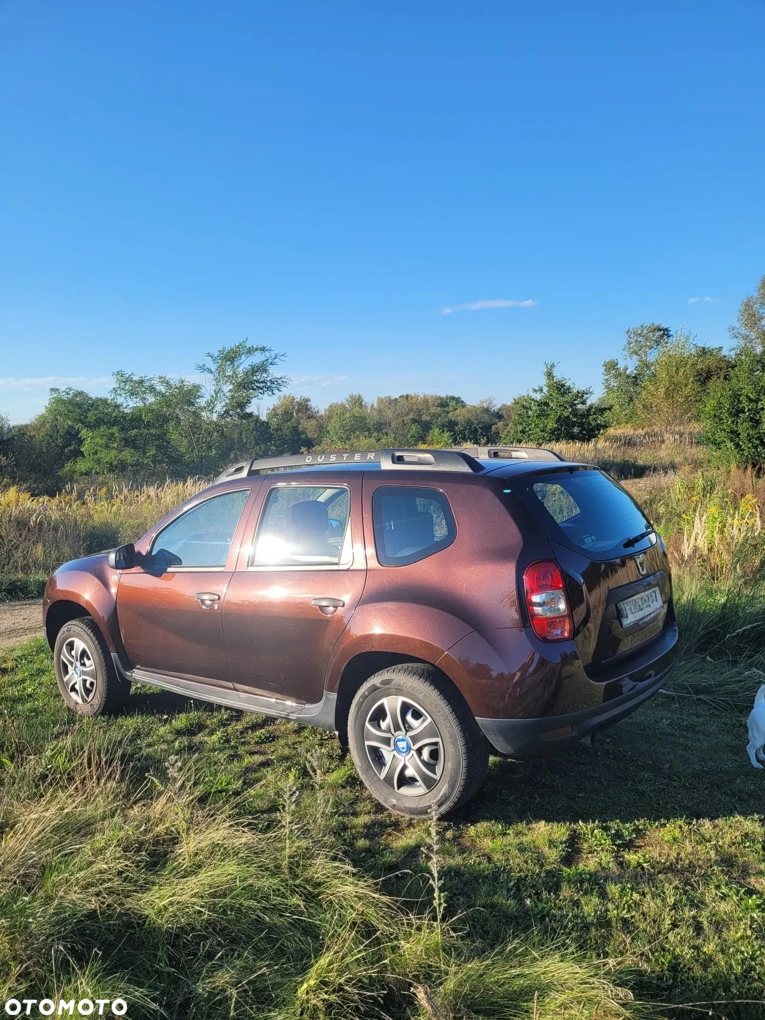 Dacia Duster 1.6 SCe Ambiance S&S - 5