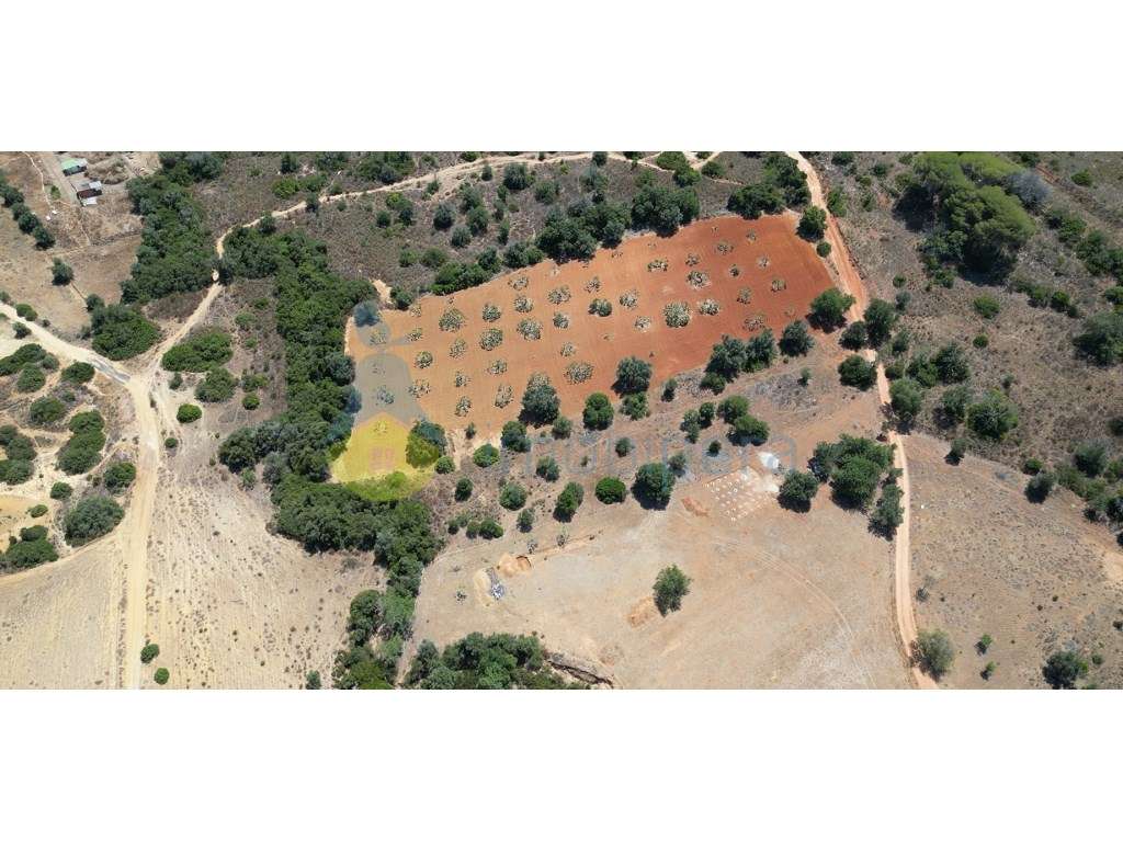 Terreno rustico perto Vila Pera - Grande imagem: 3/5