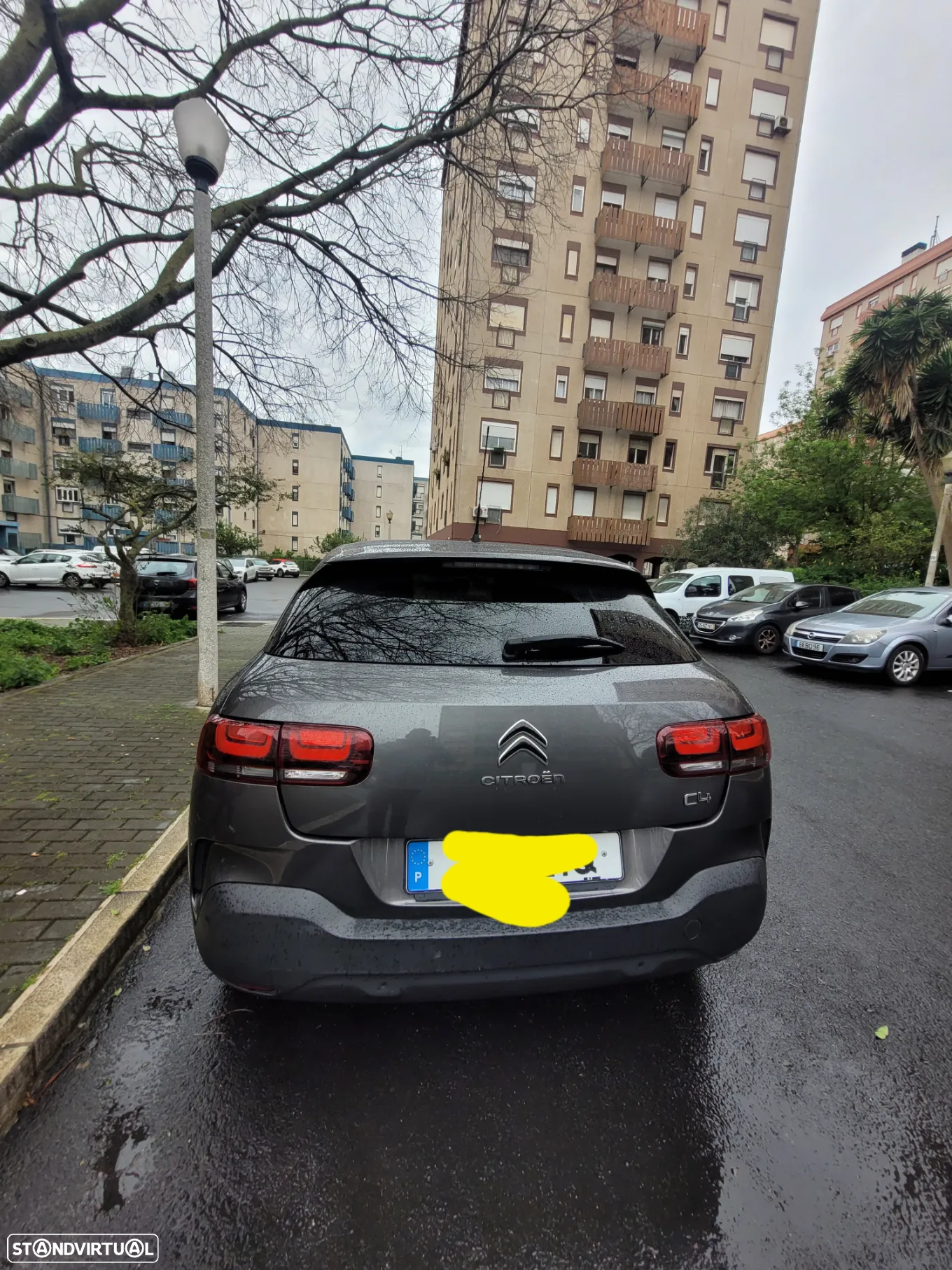 Citroën C4 Cactus 1.5 BlueHDi C-Series - 3