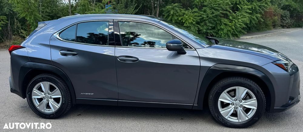 Lexus UX 250h Business Edition - 6