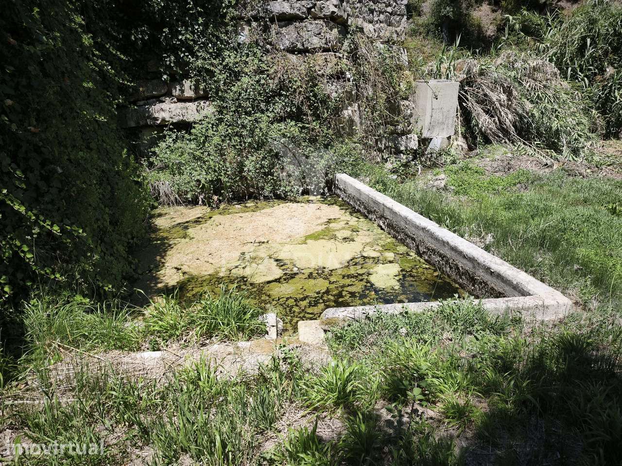 Terreno Rustico com cerca de 5400 m² - Grande imagem: 2/8