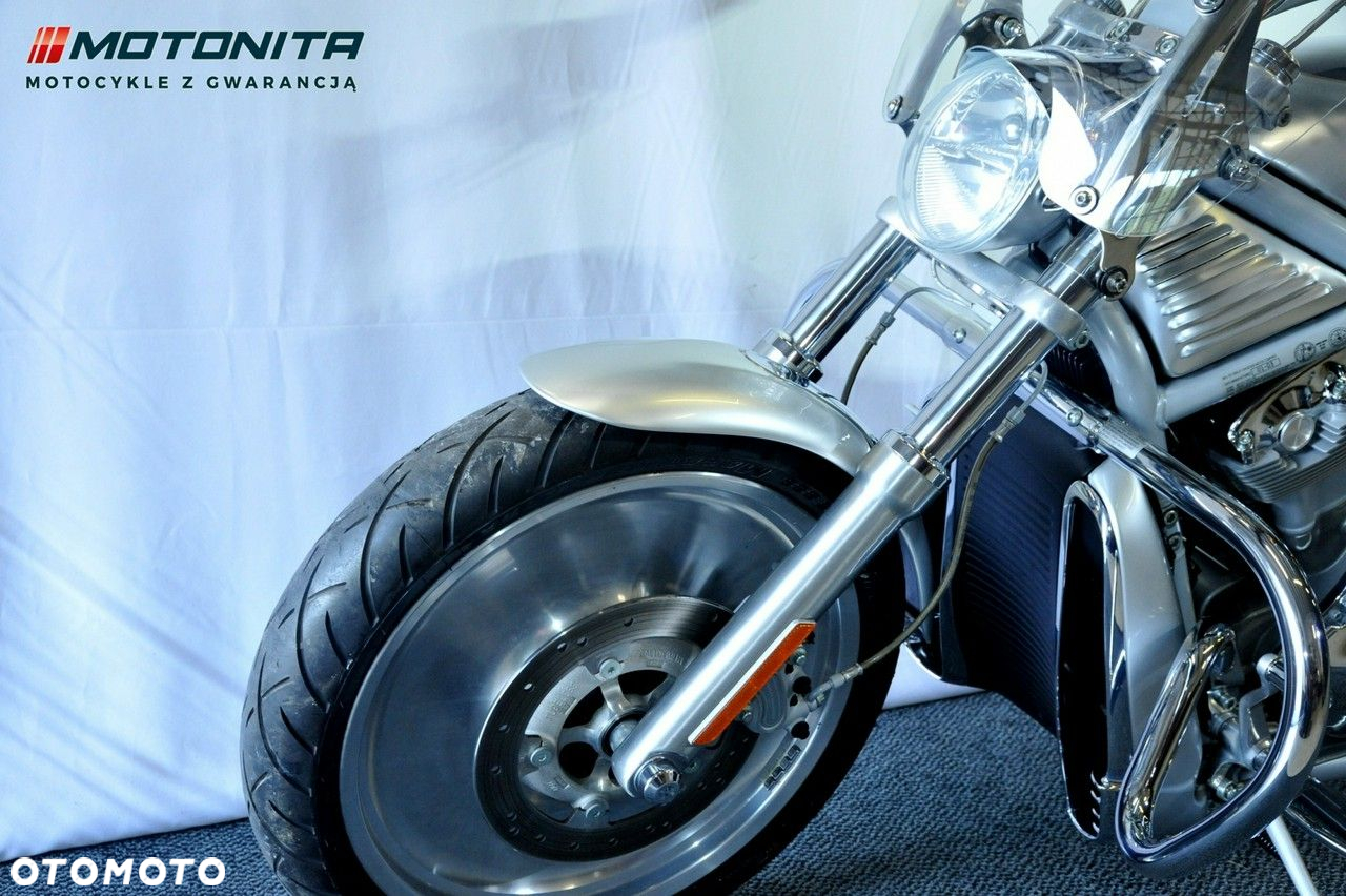 Harley-Davidson Softail V-Rod - 10