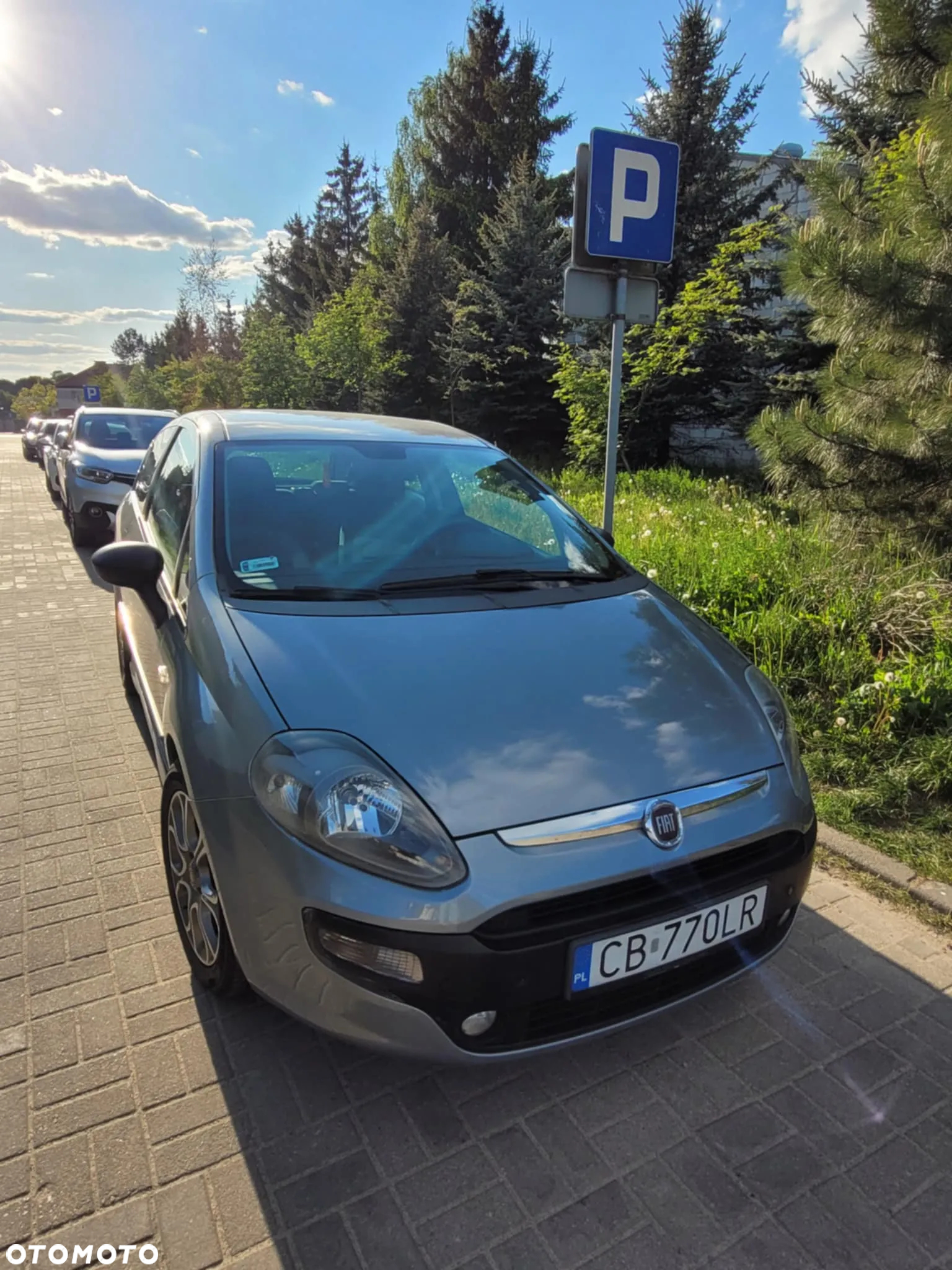 Fiat Punto Evo 1.3 16V Multijet Start&Stopp - 3