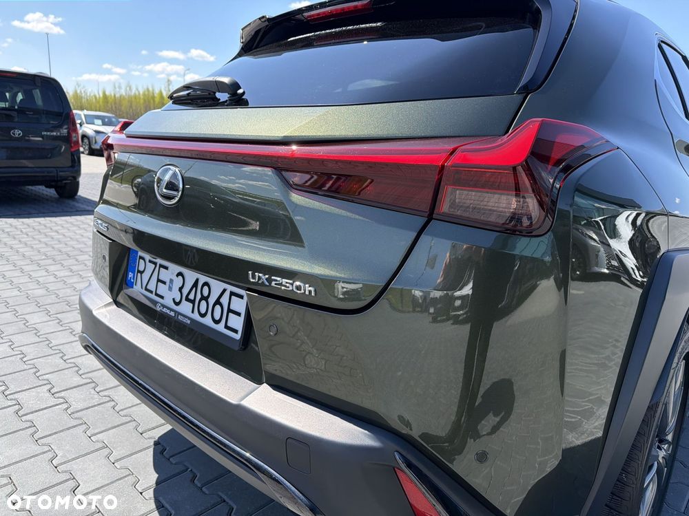 Lexus UX 250h GPF F Sport Design 2WD - 31