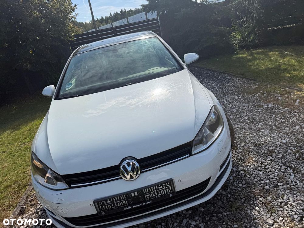 Volkswagen Golf - 25