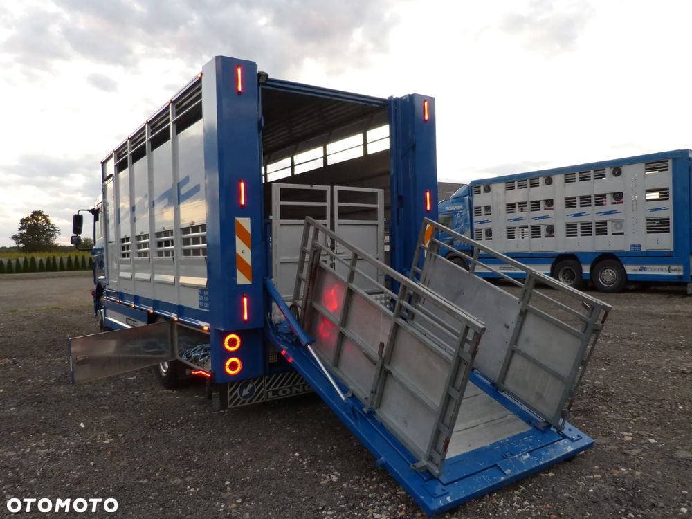 MAN TGM 15.250 DO ŻYWCA / ZWIERZĄT / BYDŁA / WAGA EL/. EURO 6 / DŁ. 5.20M /XENON - 19