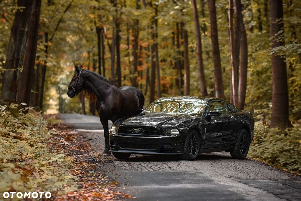 Ford Mustang 3.7 V6 Premium - 13