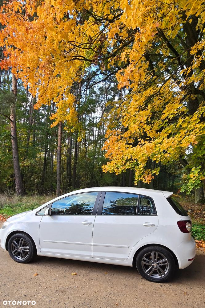 Volkswagen Golf Plus 1.4 TSI Comfortline DSG - 10