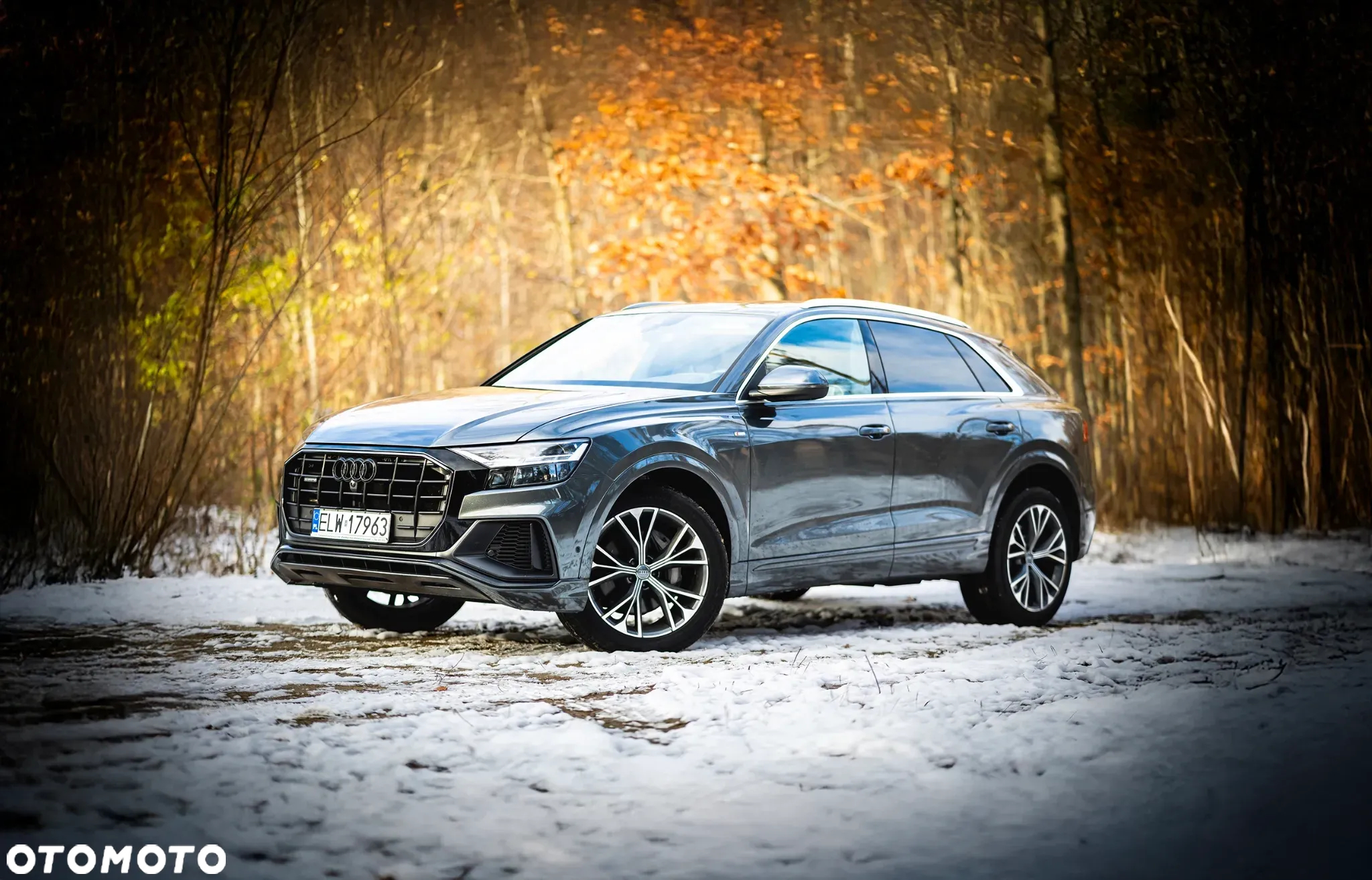 Audi Q8 55 TFSI quattro tiptronic - 10