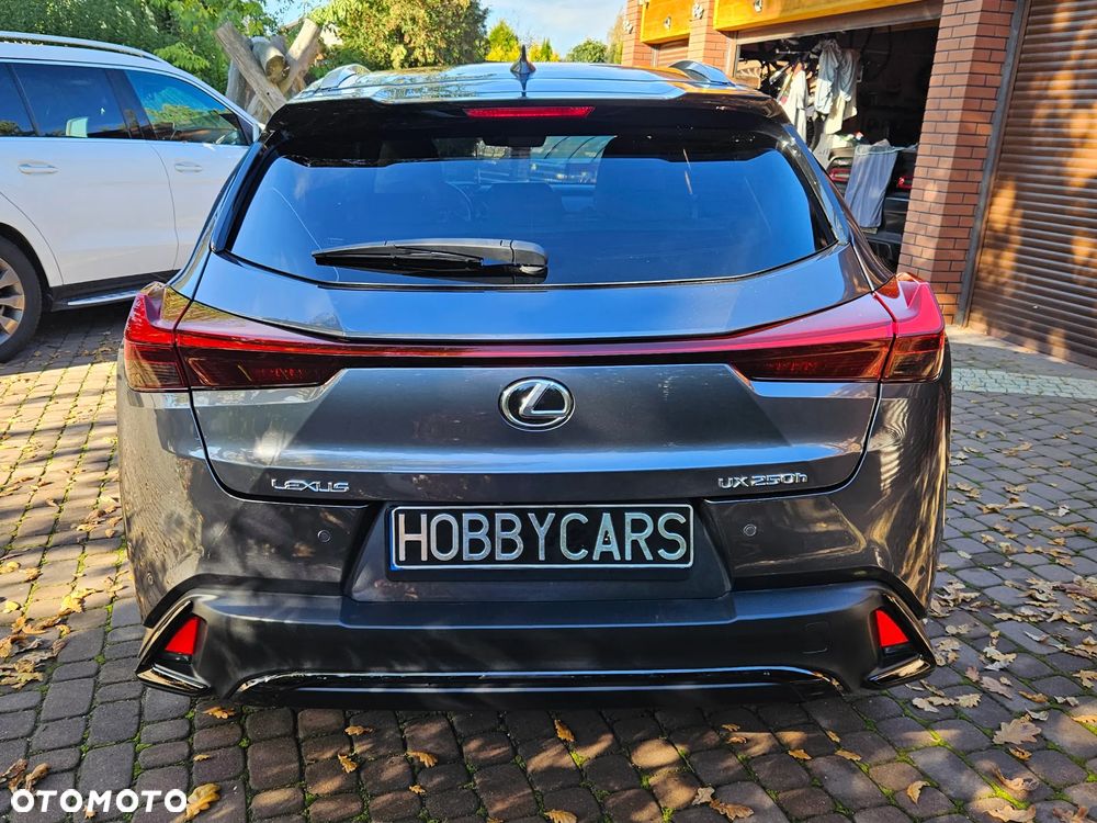 Lexus UX 250h GPF F Sport Design 2WD - 9