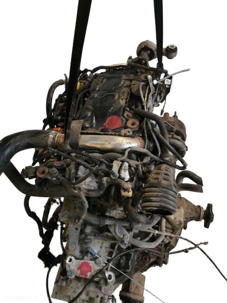 Silnik kompletny 2.0 DCI 150KM Nissan Renault M9R832 kompletny rozrząd - 6