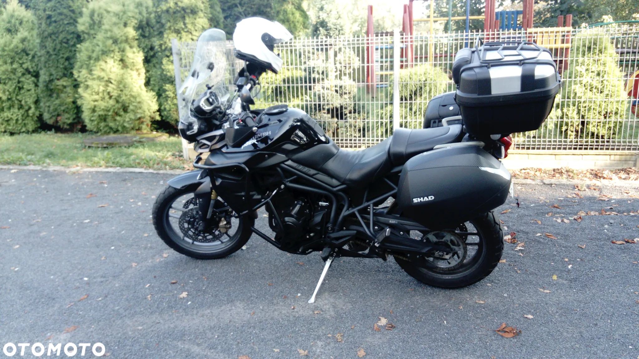 Triumph Tiger - 1