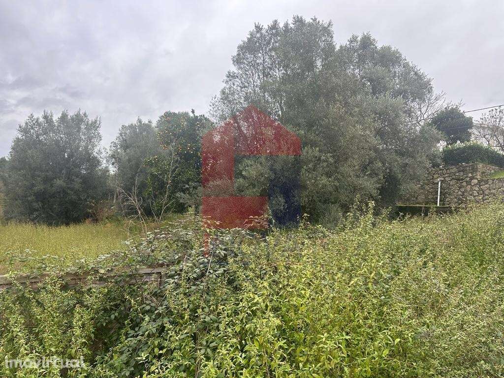 Terreno agrícola, Vilarinho - Grande imagem: 4/10