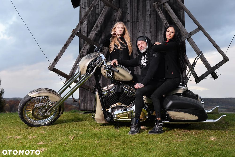 Harley-Davidson Softail - 8