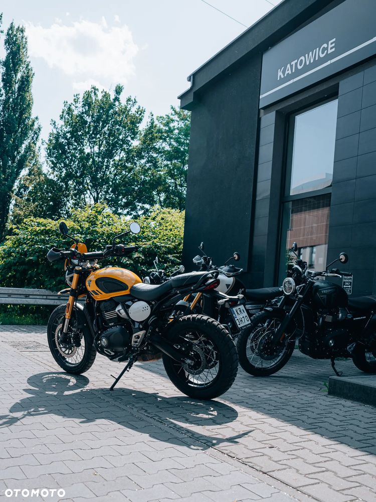 Triumph Scrambler - 17