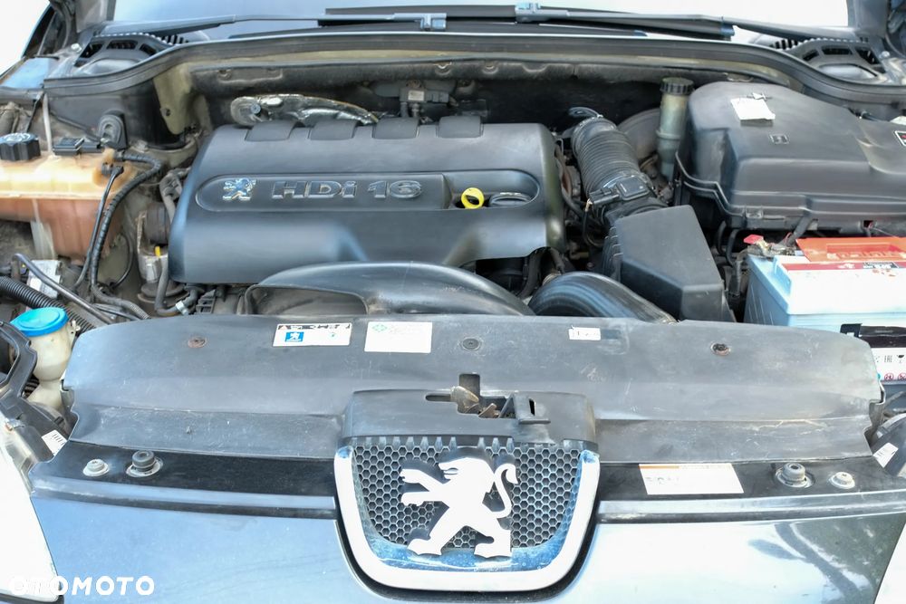 Peugeot 407 - 20