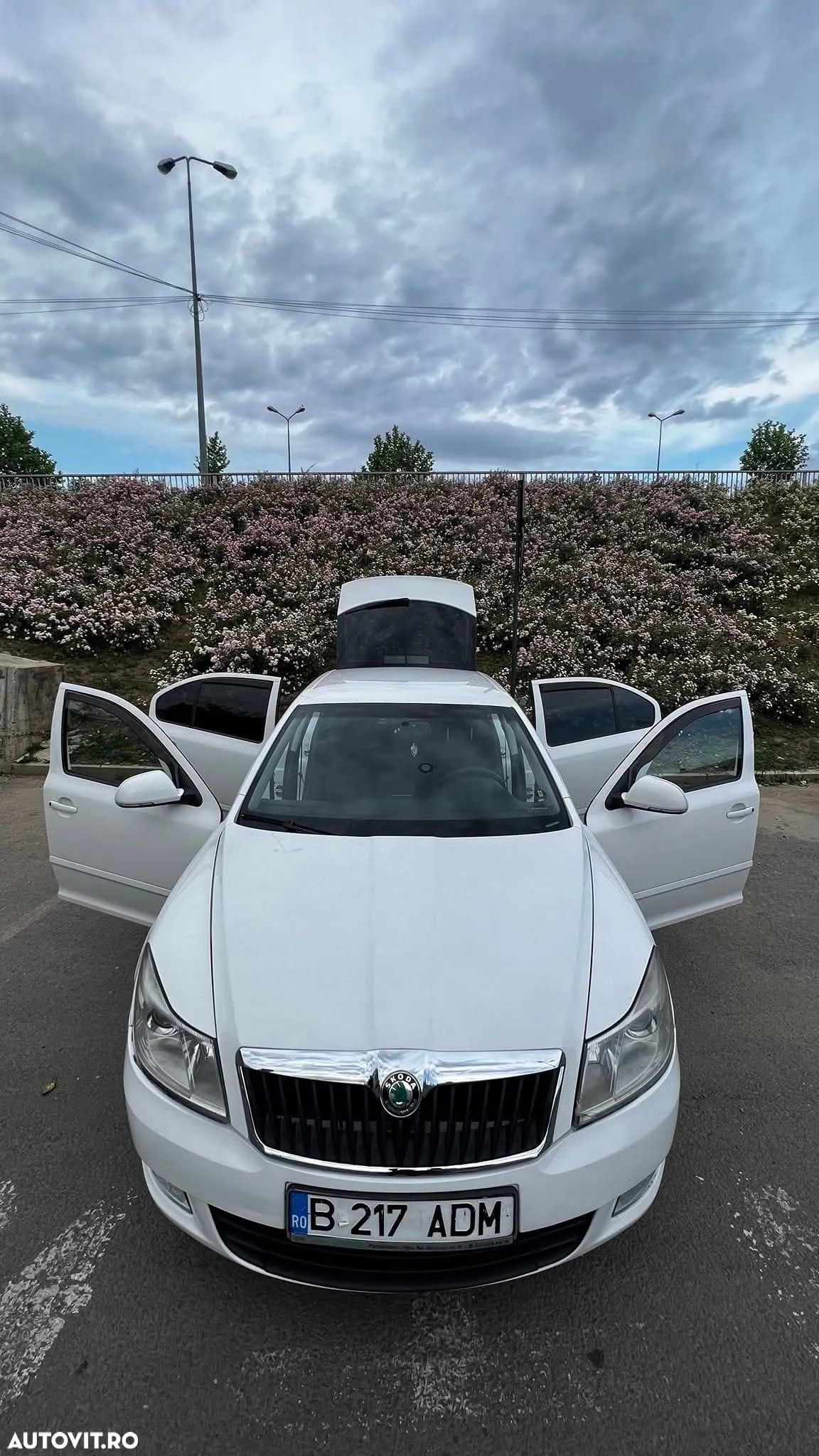 Skoda Octavia 1.6 TDI Drive - 1