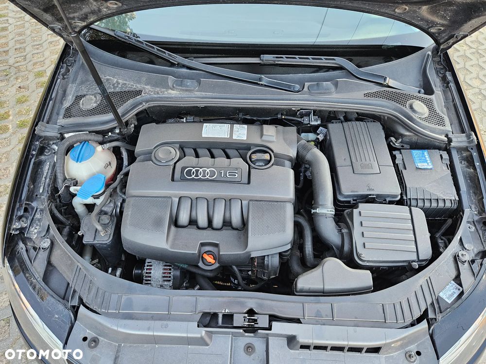 Audi A3 3-drzwiowe 1.6 Attraction - 9
