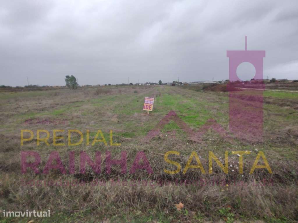 Terreno rustico COM POÇO E ELETRICIDADE NO TERRENO-Alpiarça - Grande imagem: 2/7