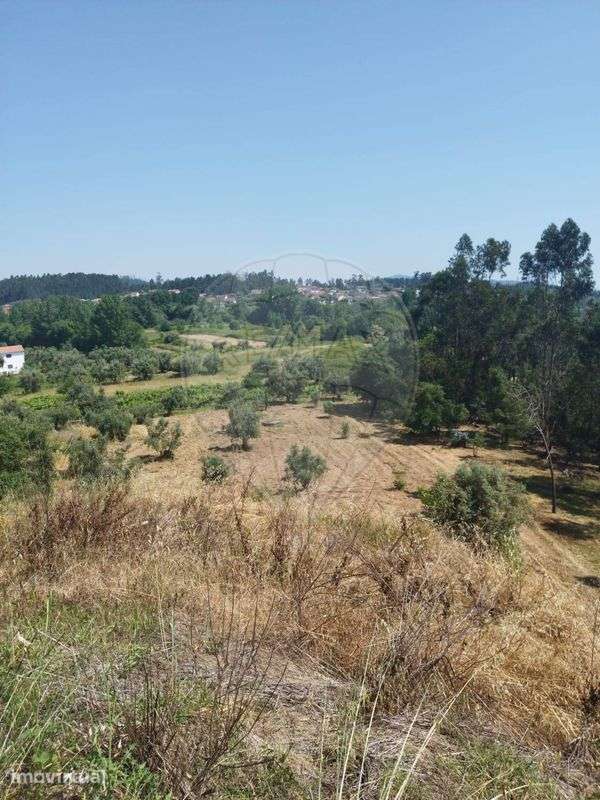 Terreno  para venda - Grande imagem: 5/11